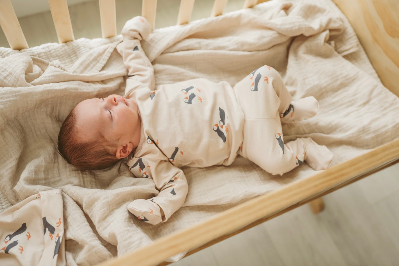 Organic Baby Outfit Set | Handmade Newborn Clothes | Puffin Print | Pants, Shirt, Hat & Mittens
